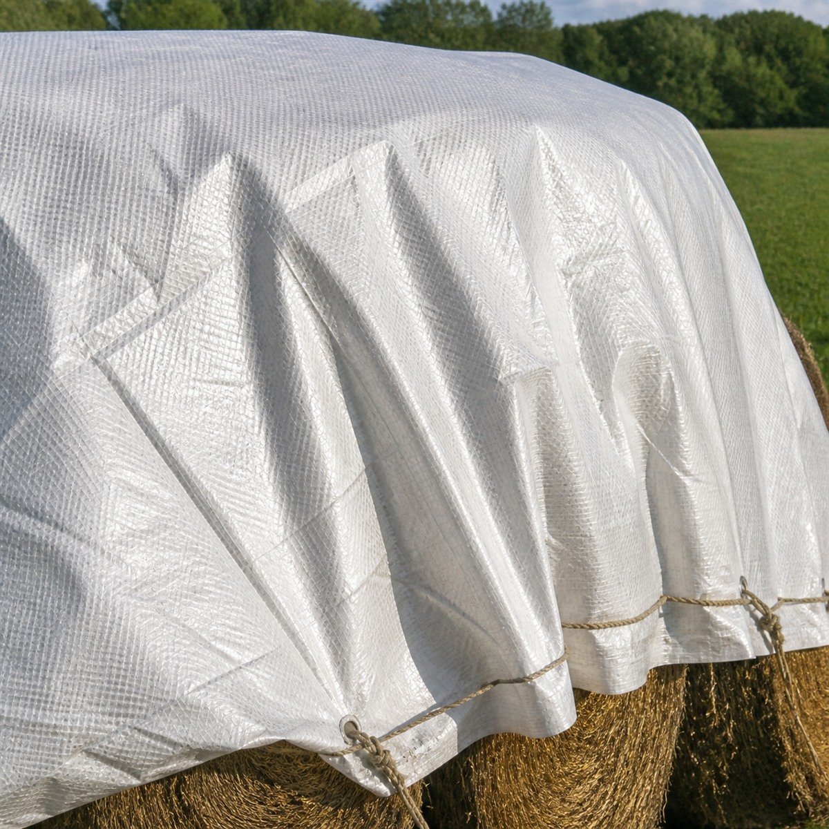 Hay Tarps